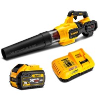 DeWALT DCMBA572X1 pūtējs 1x9 Ah